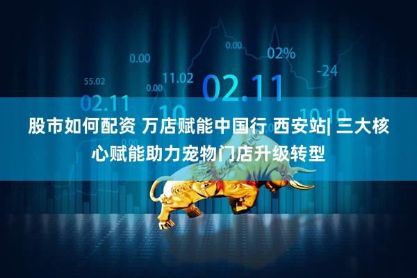 股市如何配资 万店赋能中国行 西安站| 三大核心赋能助力宠物门店升级转型